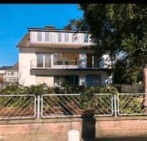 2 Zimmer Apartment mit Einbauküche und Garten - Minden Bärenkämpen