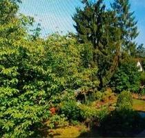 2 WG Zimmer in 3 Zimmer Wohnung - Dreieich