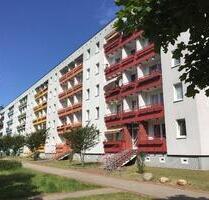 Frisch renovierte 3 Zimmer Wohnung! - Schwerin Mueß