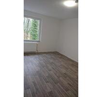 Helle 3 Zimmer Wohnung mit 75m² - Munster
