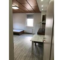 NEU sanierte möblierte 1 Zimmer Single Wohnung WC+Du TV iNet Küch - Heidenheim an der Brenz Aufhausen