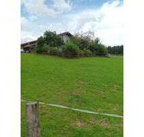 Souterrain Zimmer i.WG, Haus im Grünen m.Garten, ab01.06 - Aying