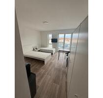 1-Zimmer Wohnung zu vermieten - 550,00 EUR Kaltmiete, ca.  23,00 m² in Ludwigshafen am Rhein (PLZ: 67069) Edigheim