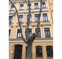 Top geschnittene 2 Zimmer Wohnung mit Terasse in der Innenstadt. - Halle (Saale) Damaschkestraße