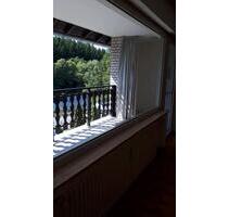 Schöne, renovierte, 66m², zwei-Zimmer Wohnung - Winterberg