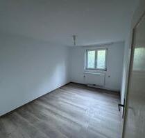 1 Zimmer in renovierter 2er-WG- neues Bad, Einbauküche - Tübingen Lustnau