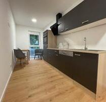 1-Zimmer Apartment vollmöbliert, eigenes Bad & Küche & Interne - Rielasingen-Worblingen
