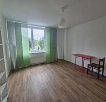 1-Zimmer mit Bad, Flur und Kochnische - Mühltal