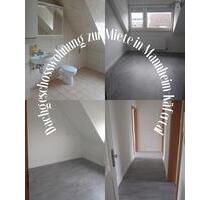 **Renovierte 2-Zimmer Dachgeschoss Wohnung in Mannheim-Käfertal**