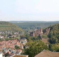 5 Zimmer Wohnung mit Einbauküche und Burgblick - Wertheim