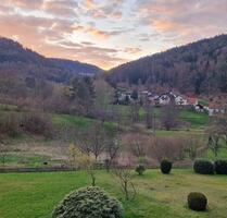 Helle 2-Zimmer Wohnung 79qm EBK, Bad, Keller, Stellplatz, Balkon - Bad Herrenalb