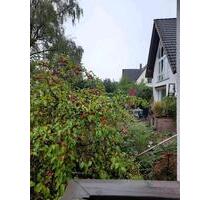 2,5 Zimmer Wohnung in Lüdenscheid ,Stadtrand Süd