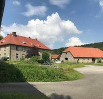 4 Zimmer EG Wohnung auf Gut Kempen - Delbrück