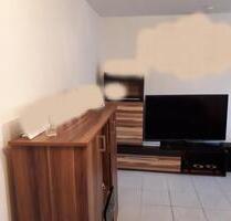 Helle 3 Zimmer WHG in Frontenhausen Südseite Untergeschoss - Dingolfing