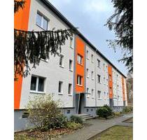 Frisch gestrichene 1-Zimmer Wohnung im Grünen! - Grabow