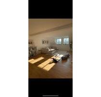 Wunderschöne 4 Zimmer Wohnung direkt am Schloßteich - Chemnitz Altendorf