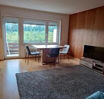 1 Zimmer Appartement Unterkirnach - Stuttgart Bad Cannstatt