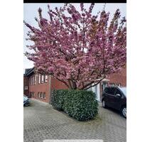 4-Zimmer-WG mit Garten und PKW Stellplätzen in Westbevern Vadrup - Telgte