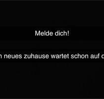 3 Zimmer Erdgeschoss Wohnung - 660,00 EUR Kaltmiete, in Sulingen (PLZ: 27232)