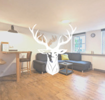 Exklusive 2-Zimmer Wohnung vollständig möbliert monatlich anmietbar - Waldshut-Tiengen