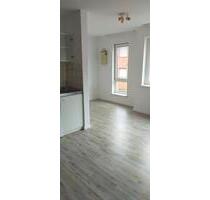 Möbliertes 1 Zimmer Apartment in Ludwigshafen zu vermieten. - Ludwigshafen am Rhein