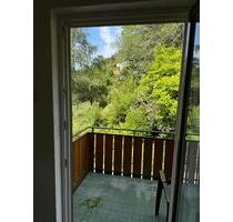 Geräumige 4 Zimmer Wohnung in Bad Teinach - Bad Teinach-Zavelstein