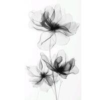 ⸻ Zimmer zu vermieten in Leherheide – Bremerhaven