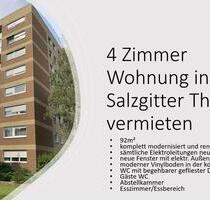 Moderne und renovierte 4-Zimmer Wohnung in Salzgitter Thiede