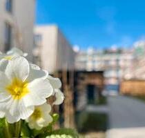 *** 2 Zimmer * NEUBAU * Balkon zum Innenhof * Fußbodenheizung * 1225 *** - Leipzig Süd