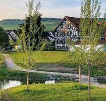 Idyllische 2,5 Zimmer Wohnung mit EBK in Weinstadt-Großheppach