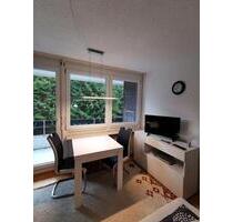 möbilierte 1 Zimmer Wohnung, Balkon, Schwimmbad - Todtmoos
