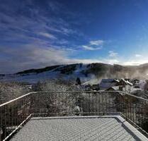 Ruhig gelegene möblierte 2-Zimmer Wohnung in Willingen - Willingen (Upland)