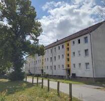4 Zimmer in Püchau inkl. EBK ab SOFORT frei - Machern