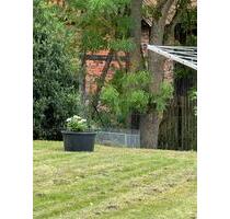 1 Zimmer mit Bad 20 qm - 250,00 EUR Kaltmiete, ca.  20,00 m² in Breitenworbis (PLZ: 37339)