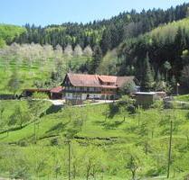 Wohnen wo andere Urlaub machen. 2 Zimmer Wohnung - Durbach