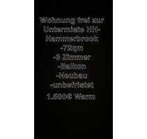 3 Zimmer Neubauwohnung zur Untermiete in HH-Hammerbrook - Hamburg Hamburg-Mitte