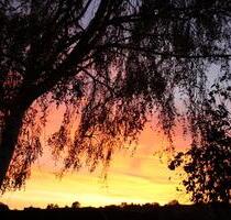 wg-platz für nur eine Person 65 Quadratmeter - Herford Diebrock