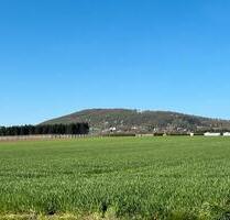 Moderne 4-Zimmer Wohnung mit Balkon ( Erstbezug in Stadtvilla ) - Bad Oeynhausen Dehme