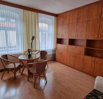helle 1,5-Zimmer Wohnung mit separater KücheFlurBad Uni-nah - Freiberg