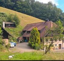 WG-ZIMMER IN ABSOLUTER TRAUMLAGE - Nordrach
