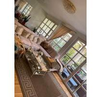 Berlin 5 Zimmer Wohnung schöne Gegend