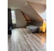 Helle 2-Zimmer Wohnung mit großer Dachterasse - Detmold