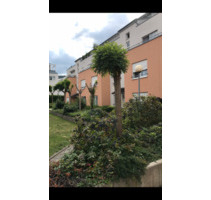Gemütliche, gut geschnittene 3 Zimmer Wohnung mit Balkon - Heidelberg Boxberg