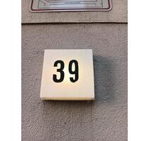 geräumige 2 Zimmer Wohnung mit Dusche und schöner Terrasse! # - Dresden Pieschen