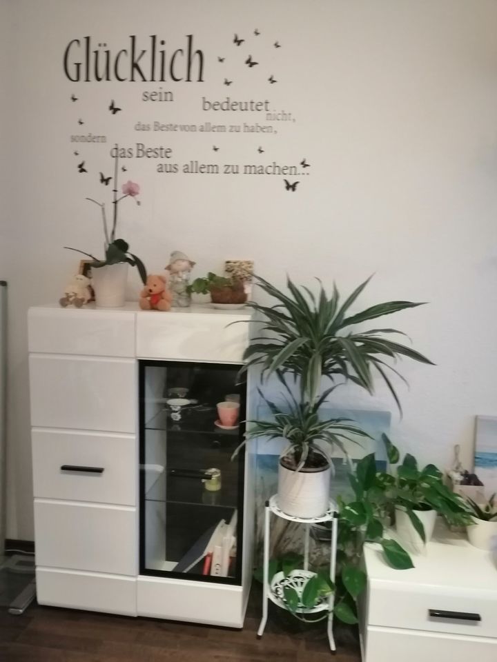 Gemütliches Zimmer in Neukölln ideal für Erasmus-Studierende - Berlin