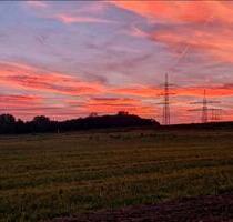 1,5 Zimmer Wohnung ab 01.01.26 ! in Maintal - Wachenbuchen Miete