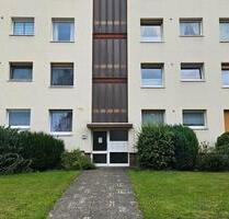 3 Zimmer Wohnung zu vermieten, in Belm , frisch renoviert, ab 1.8
