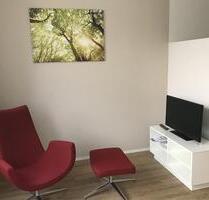 Exklusiv möbliertes 1 - Zimmer Apartment in der Innenstadt Nürnbe - Nürnberg Altstadt, St. Lorenz