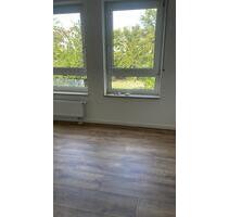 Schöne zwei Zimmerwohnung - 990,00 EUR Kaltmiete, ca.  48,00 m² in Ludwigshafen am Rhein (PLZ: 67059)