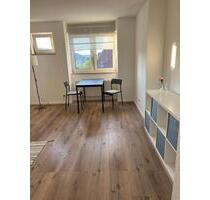 Ein-Zimmer Appartement mit Küche & Bad - Siegen Weidenau